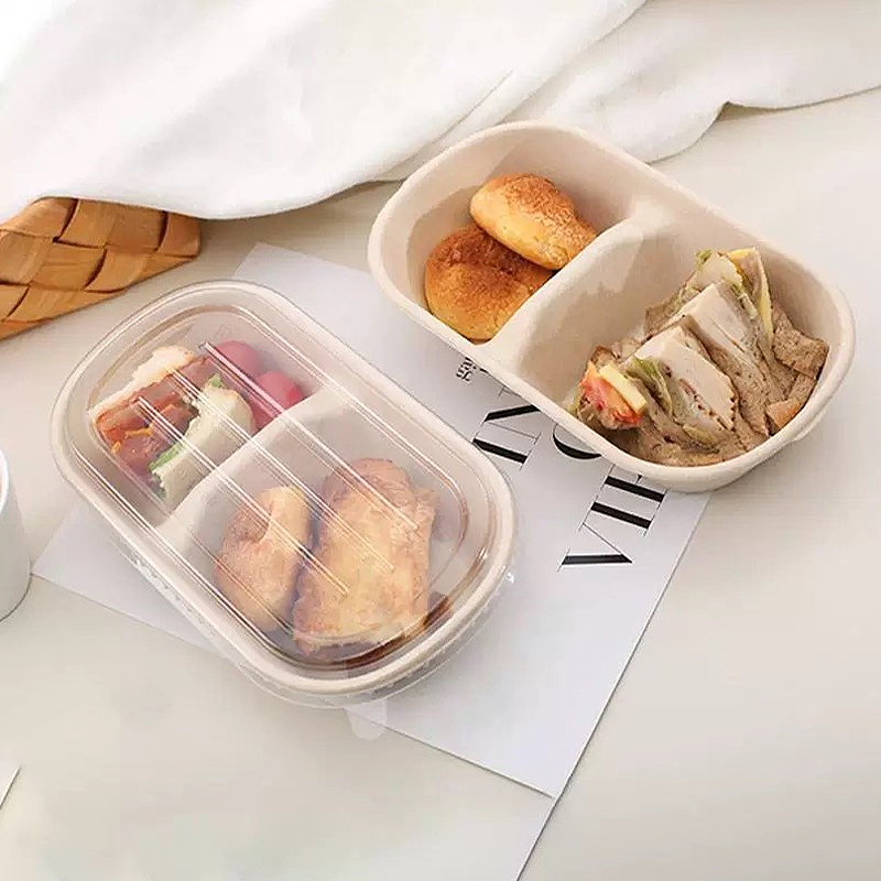 10/50 шт. одноразовые контейне – обзор и цена Food Storage Safety
